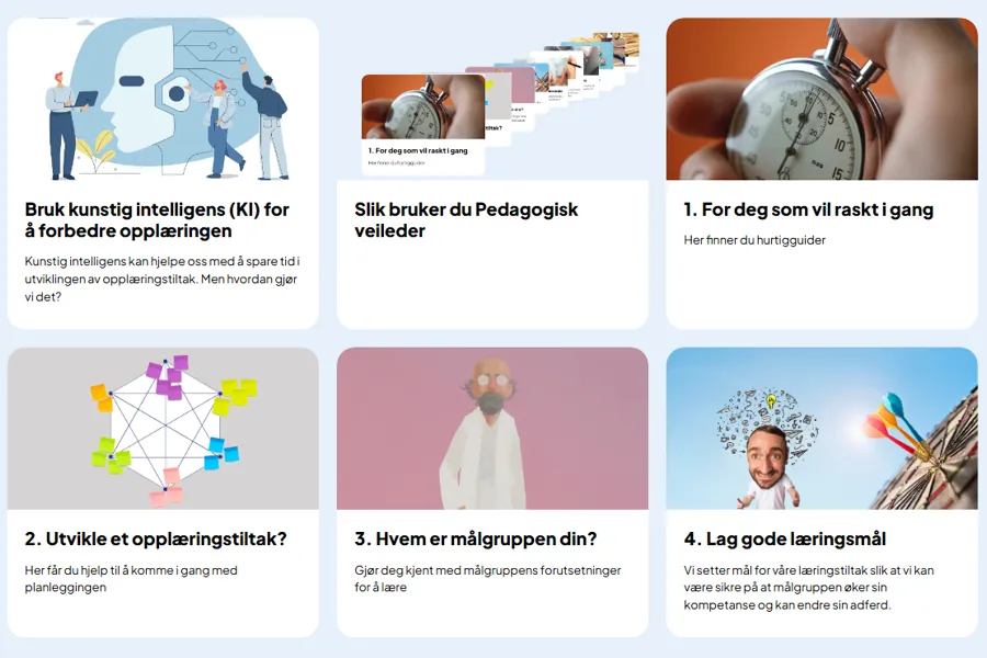 Et utsnitt av av noen av temaene som gjennomgås i pedagogisk veileder