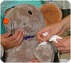 Sykehusmaskoten Rasmus får CVK