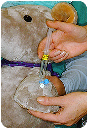 Sykehusmaskoten Rasmus får medisin gjennom sin CVK