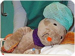 Sykehusmaskoten Rasmus forberedes for operasjon