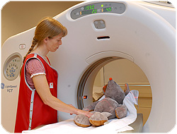 Sykehusmaskoten Rasmus tar CT