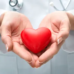 To hender som holder et hjerte