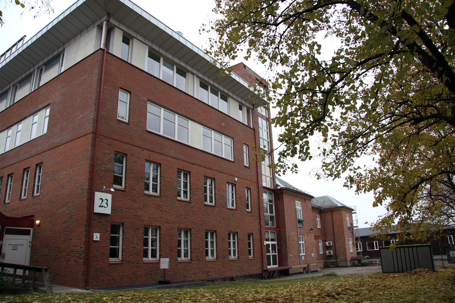 En murbygning med et tre foran seg