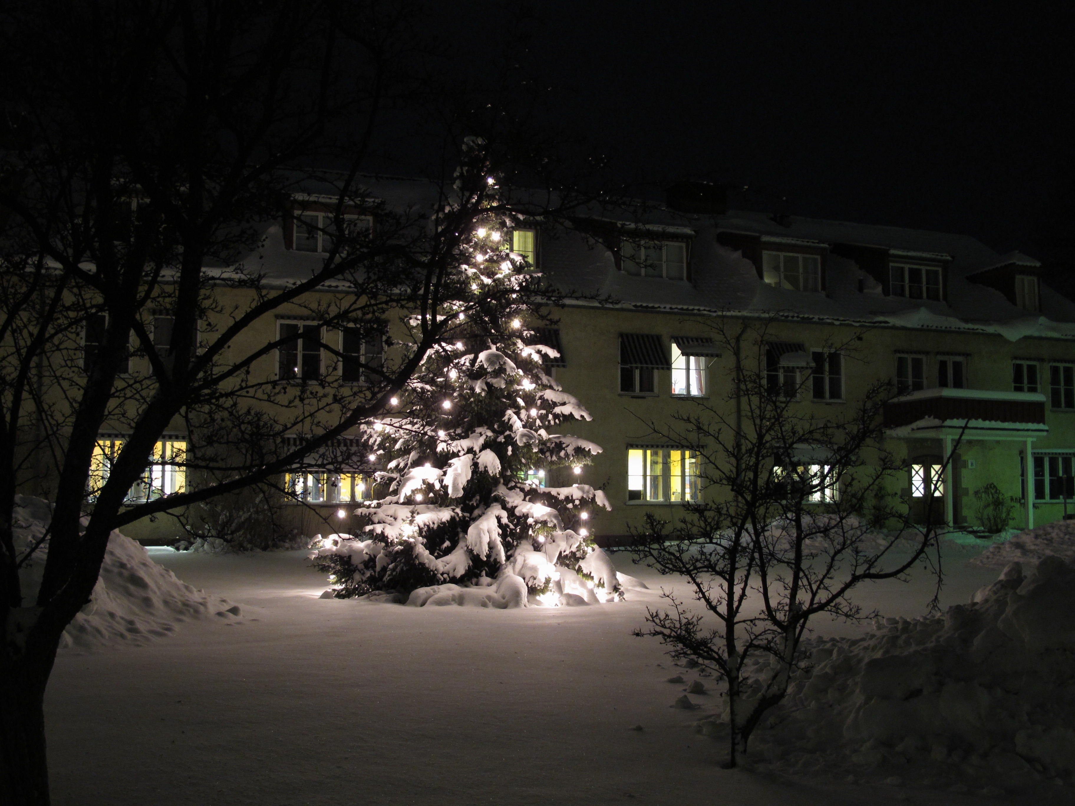 En bygning med trær foran seg om natten