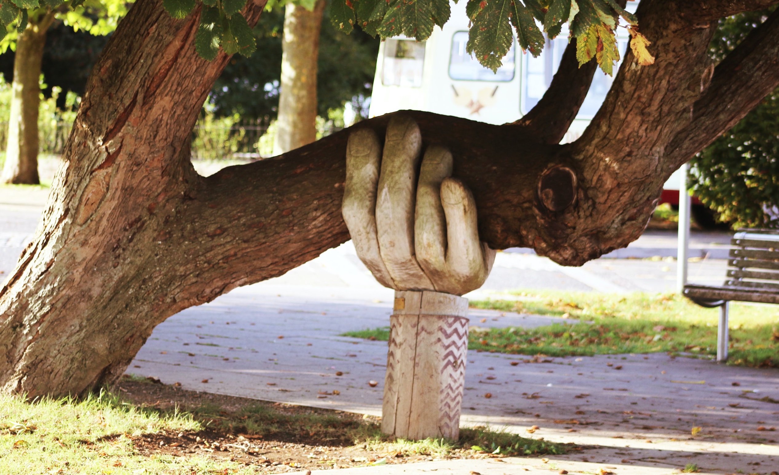 Et tre som støttes med en skulptur av en hånd