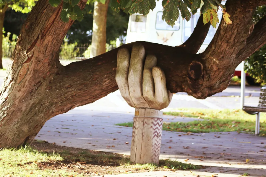 Et tre som støttes med en skulptur av en hånd